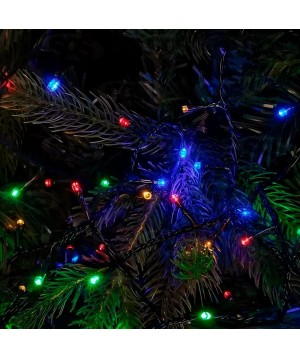 Pisca Pisca 100 LEDS Colorido 110V 10 Metros Top Natal PSC0010-1