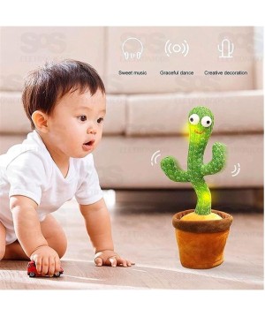 Cacto Dançante e Falante