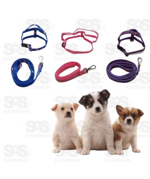 Coleira Peitoral Com Guia Nylon Listrada Cores Variadas N°5 4001